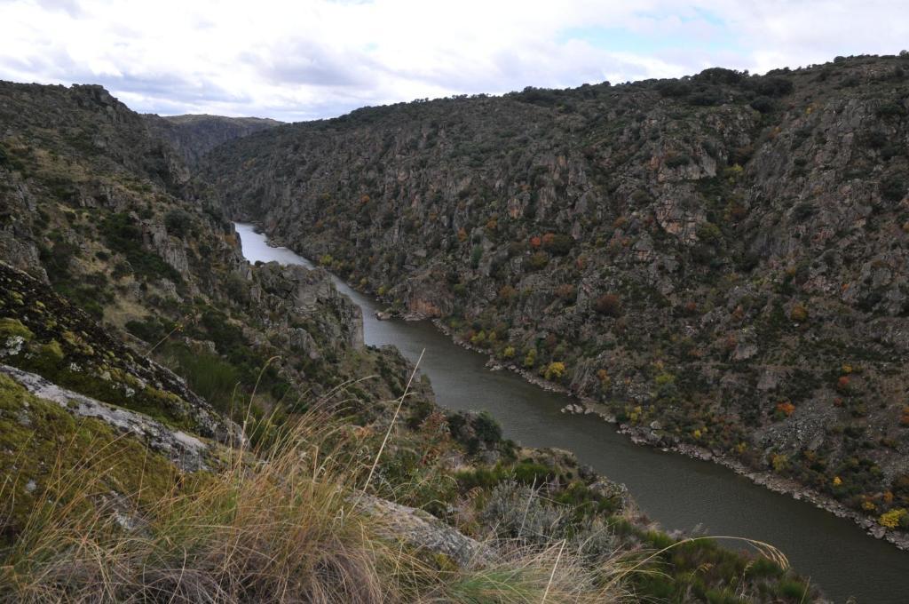 Posada Real La Mula De Los Arribes Villardiegua de la Ribera Екстериор снимка